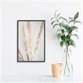 Picture of Whispy Pampas _GroupedProduct_Rectangle_Portrait_Photography _GroupedProduct_Rectangle_Portrait_Canvas_Framed_