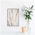 Picture of Whispy Pampas _GroupedProduct_Rectangle_Portrait_Photography _GroupedProduct_Rectangle_Portrait_Canvas_Framed_