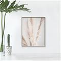 Picture of Whispy Pampas _GroupedProduct_Rectangle_Portrait_Photography _GroupedProduct_Rectangle_Portrait_Canvas_Framed_