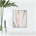 Picture of Whispy Pampas _GroupedProduct_Rectangle_Portrait_Photography _GroupedProduct_Rectangle_Portrait_Canvas_Framed_
