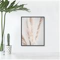 Picture of Whispy Pampas _GroupedProduct_Rectangle_Portrait_Photography _GroupedProduct_Rectangle_Portrait_Canvas_Framed_