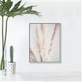 Picture of Whispy Pampas _GroupedProduct_Rectangle_Portrait_Photography _GroupedProduct_Rectangle_Portrait_Canvas_Framed_