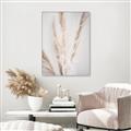 Picture of Whispy Pampas _GroupedProduct_Rectangle_Portrait_Photography _GroupedProduct_Rectangle_Portrait_Canvas_Framed_
