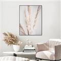 Picture of Whispy Pampas _GroupedProduct_Rectangle_Portrait_Photography _GroupedProduct_Rectangle_Portrait_Canvas_Framed_