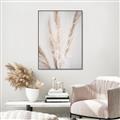 Picture of Whispy Pampas _GroupedProduct_Rectangle_Portrait_Photography _GroupedProduct_Rectangle_Portrait_Canvas_Framed_