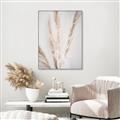 Picture of Whispy Pampas _GroupedProduct_Rectangle_Portrait_Photography _GroupedProduct_Rectangle_Portrait_Canvas_Framed_