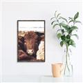 Picture of Snuggled Highland _GroupedProduct_Rectangle_Portrait_Photography _GroupedProduct_Rectangle_Portrait_Canvas_Framed_