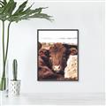 Picture of Snuggled Highland _GroupedProduct_Rectangle_Portrait_Photography _GroupedProduct_Rectangle_Portrait_Canvas_Framed_