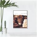 Picture of Snuggled Highland _GroupedProduct_Rectangle_Portrait_Photography _GroupedProduct_Rectangle_Portrait_Canvas_Framed_