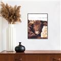 Picture of Snuggled Highland _GroupedProduct_Rectangle_Portrait_Photography _GroupedProduct_Rectangle_Portrait_Canvas_Framed_