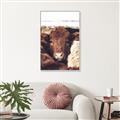 Picture of Snuggled Highland _GroupedProduct_Rectangle_Portrait_Photography _GroupedProduct_Rectangle_Portrait_Canvas_Framed_
