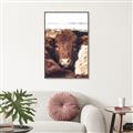 Picture of Snuggled Highland _GroupedProduct_Rectangle_Portrait_Photography _GroupedProduct_Rectangle_Portrait_Canvas_Framed_