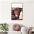 Picture of Snuggled Highland _GroupedProduct_Rectangle_Portrait_Photography _GroupedProduct_Rectangle_Portrait_Canvas_Framed_
