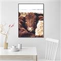 Picture of Snuggled Highland _GroupedProduct_Rectangle_Portrait_Photography _GroupedProduct_Rectangle_Portrait_Canvas_Framed_