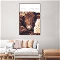 Picture of Snuggled Highland _GroupedProduct_Rectangle_Portrait_Photography _GroupedProduct_Rectangle_Portrait_Canvas_Framed_