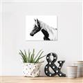 Picture of Spotted Horse _GroupedProduct_Rectangle_Landscape_Photography _GroupedProduct_Rectangle_Landscape_Unframed_Print_Only_