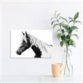 Picture of Spotted Horse _GroupedProduct_Rectangle_Landscape_Photography _GroupedProduct_Rectangle_Landscape_Unframed_Print_Only_