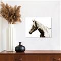 Picture of Spotted Horse _GroupedProduct_Rectangle_Landscape_Photography _GroupedProduct_Rectangle_Landscape_Unframed_Print_Only_