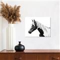 Picture of Spotted Horse _GroupedProduct_Rectangle_Landscape_Photography _GroupedProduct_Rectangle_Landscape_Unframed_Print_Only_