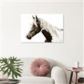 Picture of Spotted Horse _GroupedProduct_Rectangle_Landscape_Photography _GroupedProduct_Rectangle_Landscape_Unframed_Print_Only_