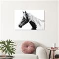 Picture of Spotted Horse _GroupedProduct_Rectangle_Landscape_Photography _GroupedProduct_Rectangle_Landscape_Unframed_Print_Only_