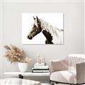 Picture of Spotted Horse _GroupedProduct_Rectangle_Landscape_Photography _GroupedProduct_Rectangle_Landscape_Unframed_Print_Only_