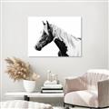 Picture of Spotted Horse _GroupedProduct_Rectangle_Landscape_Photography _GroupedProduct_Rectangle_Landscape_Unframed_Print_Only_