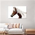 Picture of Spotted Horse _GroupedProduct_Rectangle_Landscape_Photography _GroupedProduct_Rectangle_Landscape_Unframed_Print_Only_