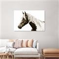 Picture of Spotted Horse _GroupedProduct_Rectangle_Landscape_Photography _GroupedProduct_Rectangle_Landscape_Unframed_Print_Only_