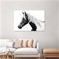 Picture of Spotted Horse _GroupedProduct_Rectangle_Landscape_Photography _GroupedProduct_Rectangle_Landscape_Unframed_Print_Only_