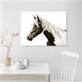 Picture of Spotted Horse _GroupedProduct_Rectangle_Landscape_Photography _GroupedProduct_Rectangle_Landscape_Unframed_Print_Only_