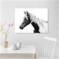 Picture of Spotted Horse _GroupedProduct_Rectangle_Landscape_Photography _GroupedProduct_Rectangle_Landscape_Unframed_Print_Only_