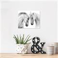 Picture of Face Off Horses _GroupedProduct_Rectangle_Landscape_Photography _GroupedProduct_Rectangle_Landscape_Unframed_Print_Only_