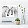 Picture of Face Off Horses _GroupedProduct_Rectangle_Landscape_Photography _GroupedProduct_Rectangle_Landscape_Unframed_Print_Only_