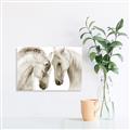 Picture of Face Off Horses _GroupedProduct_Rectangle_Landscape_Photography _GroupedProduct_Rectangle_Landscape_Unframed_Print_Only_