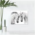 Picture of Face Off Horses _GroupedProduct_Rectangle_Landscape_Photography _GroupedProduct_Rectangle_Landscape_Unframed_Print_Only_