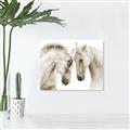 Picture of Face Off Horses _GroupedProduct_Rectangle_Landscape_Photography _GroupedProduct_Rectangle_Landscape_Unframed_Print_Only_