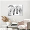 Picture of Face Off Horses _GroupedProduct_Rectangle_Landscape_Photography _GroupedProduct_Rectangle_Landscape_Unframed_Print_Only_