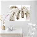 Picture of Face Off Horses _GroupedProduct_Rectangle_Landscape_Photography _GroupedProduct_Rectangle_Landscape_Unframed_Print_Only_