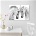 Picture of Face Off Horses _GroupedProduct_Rectangle_Landscape_Photography _GroupedProduct_Rectangle_Landscape_Unframed_Print_Only_