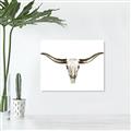 Picture of Skull _GroupedProduct_Rectangle_Landscape_Photography _GroupedProduct_Rectangle_Landscape_Unframed_Print_Only_