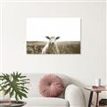 Picture of Field Sheep  _GroupedProduct_Rectangle_Landscape_Photography _GroupedProduct_Rectangle_Landscape_Unframed_Print_Only_