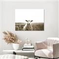 Picture of Field Sheep  _GroupedProduct_Rectangle_Landscape_Photography _GroupedProduct_Rectangle_Landscape_Unframed_Print_Only_