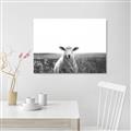 Picture of Field Sheep  _GroupedProduct_Rectangle_Landscape_Photography _GroupedProduct_Rectangle_Landscape_Unframed_Print_Only_