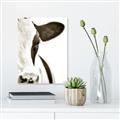 Picture of Side Cow _GroupedProduct_Rectangle_Portrait_Photography _GroupedProduct_Rectangle_Portrait_Unframed_Print_Only_