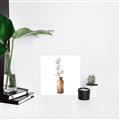 Picture of Cotton Branch  _GroupedProduct_Square_Unframed_Print_Only_