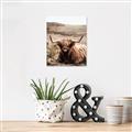 Picture of Furry Brown Cow _GroupedProduct_Rectangle_Portrait_Photography _GroupedProduct_Rectangle_Portrait_Unframed_Print_Only_