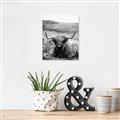 Picture of Furry Brown Cow _GroupedProduct_Rectangle_Portrait_Photography _GroupedProduct_Rectangle_Portrait_Unframed_Print_Only_