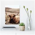 Picture of Furry Brown Cow _GroupedProduct_Rectangle_Portrait_Photography _GroupedProduct_Rectangle_Portrait_Unframed_Print_Only_