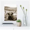 Picture of Furry Brown Cow _GroupedProduct_Rectangle_Portrait_Photography _GroupedProduct_Rectangle_Portrait_Unframed_Print_Only_